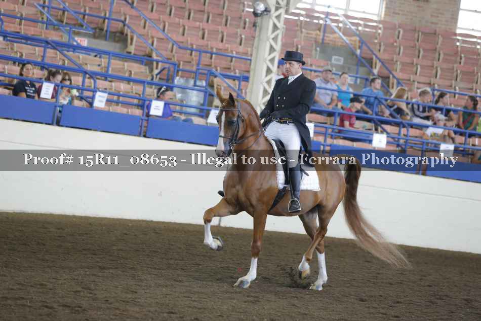 Proof 15R11_08653