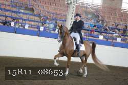 15R11_08653 proof