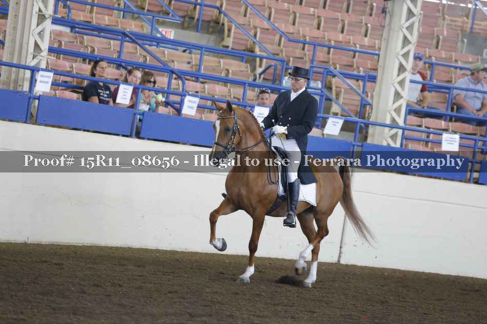 Proof 15R11_08656
