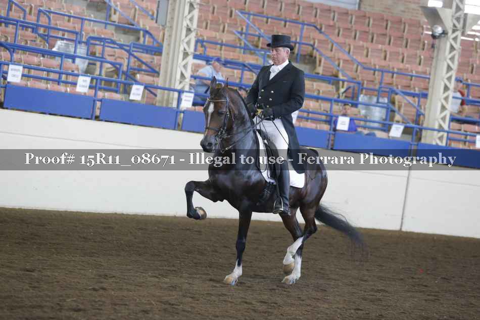 Proof 15R11_08671