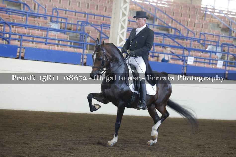 Proof 15R11_08672