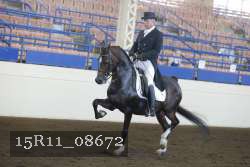 15R11_08672 proof