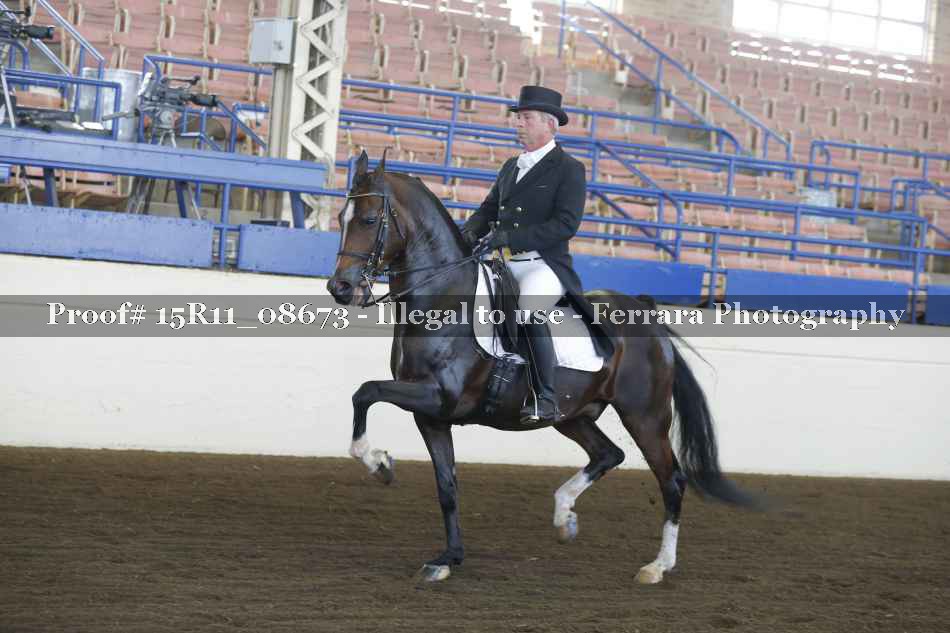 Proof 15R11_08673