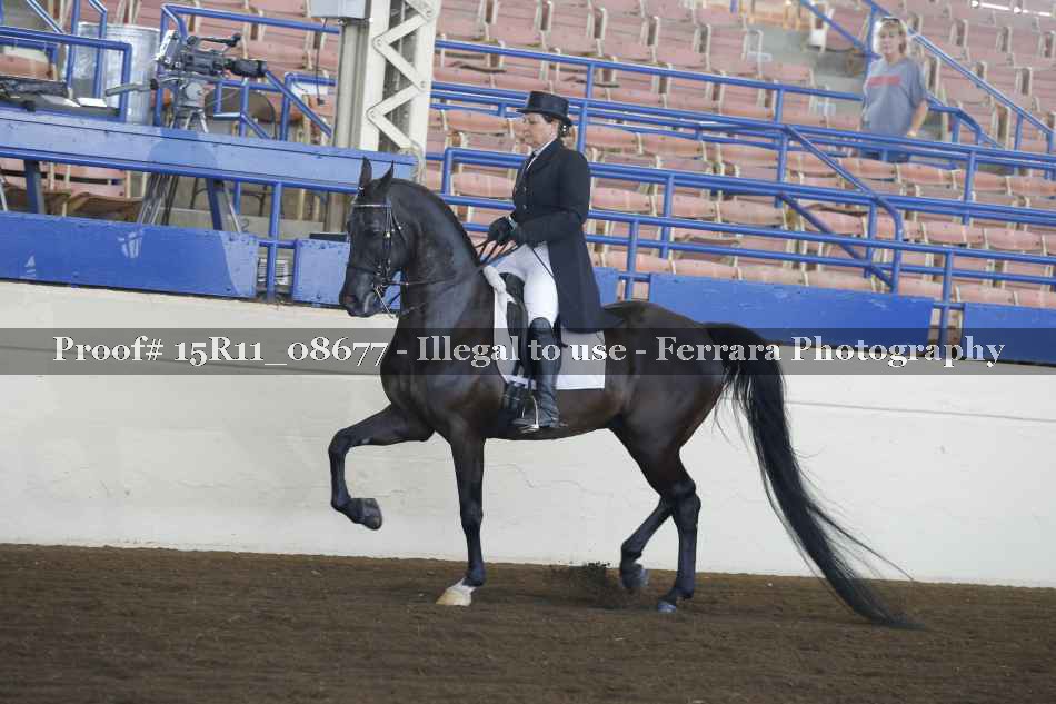 Proof 15R11_08677