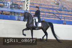 15R11_08677 proof