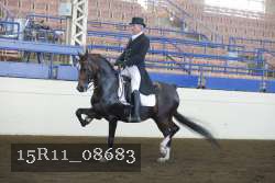 15R11_08683 proof