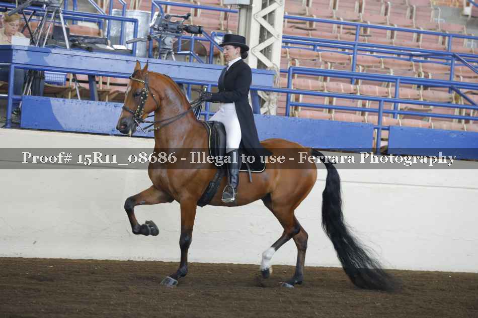 Proof 15R11_08686
