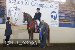 15R11_08693 proof