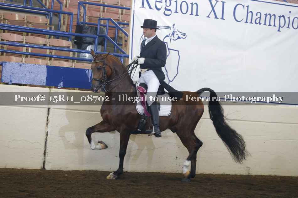 Proof 15R11_08702