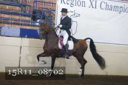 15R11_08702 proof