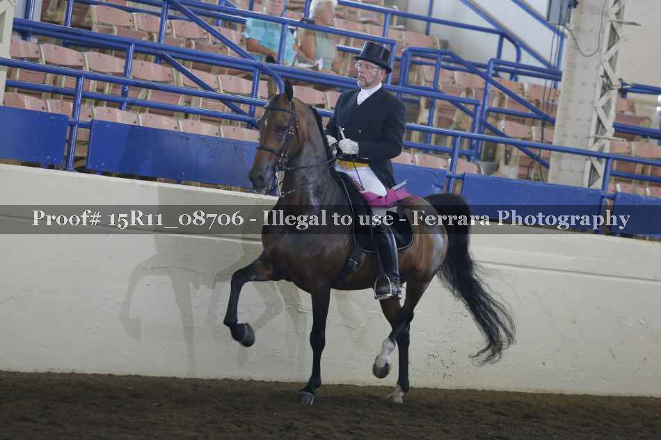 Proof 15R11_08706