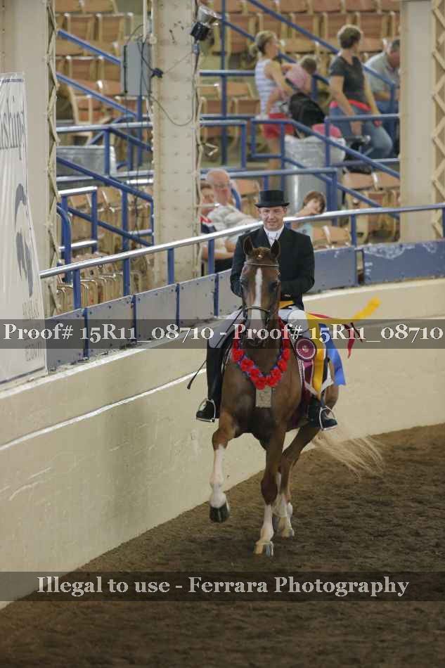 Proof 15R11_08710