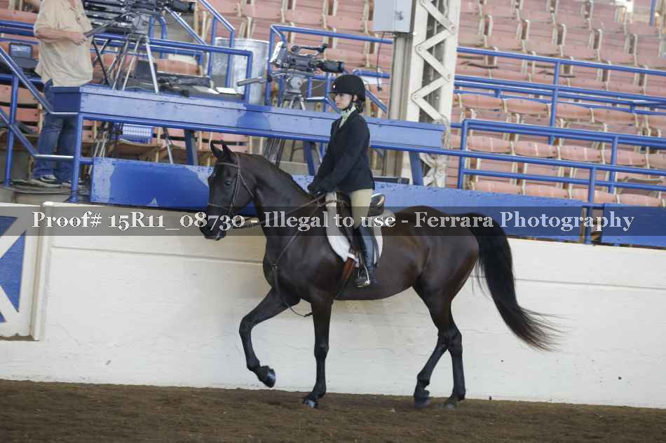 Proof 15R11_08730