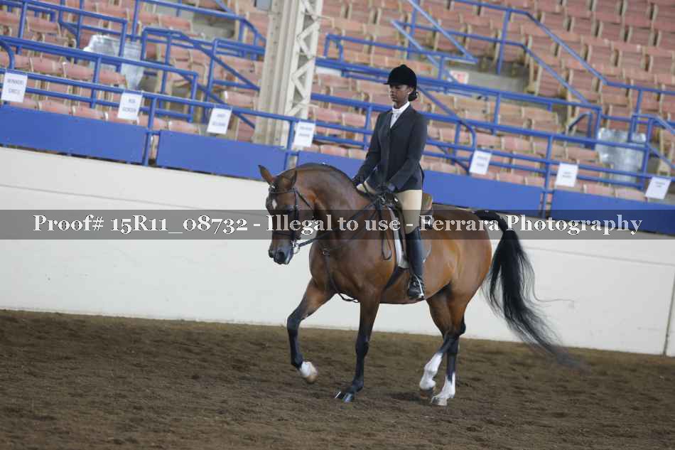 Proof 15R11_08732