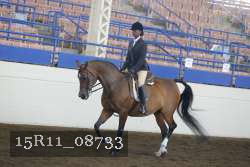 15R11_08733 proof
