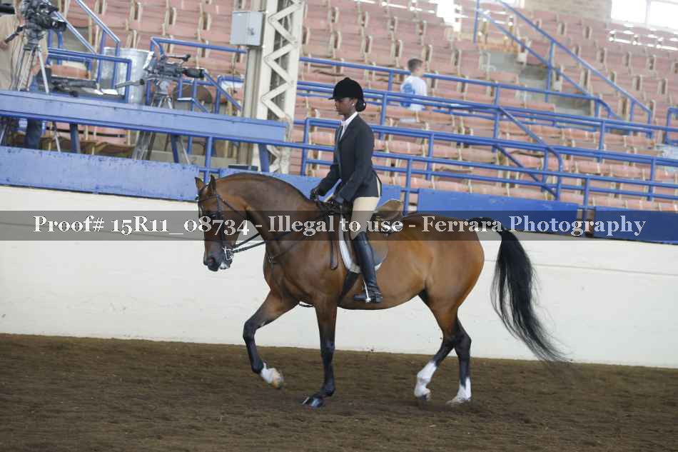 Proof 15R11_08734