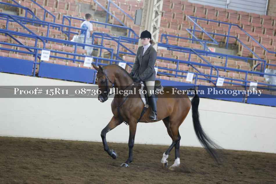 Proof 15R11_08736