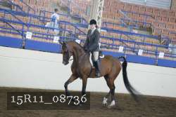 15R11_08736 proof