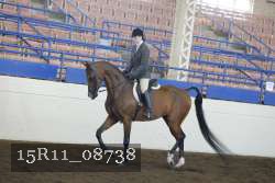 15R11_08738 proof