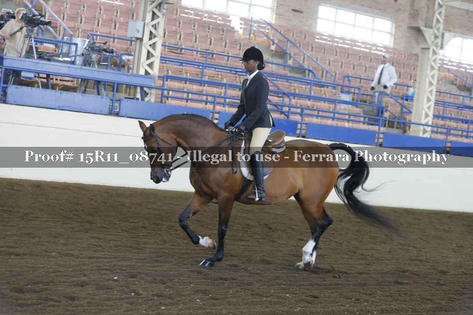Proof 15R11_08741