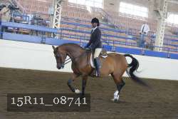 15R11_08741 proof