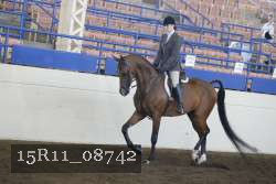 15R11_08742 proof