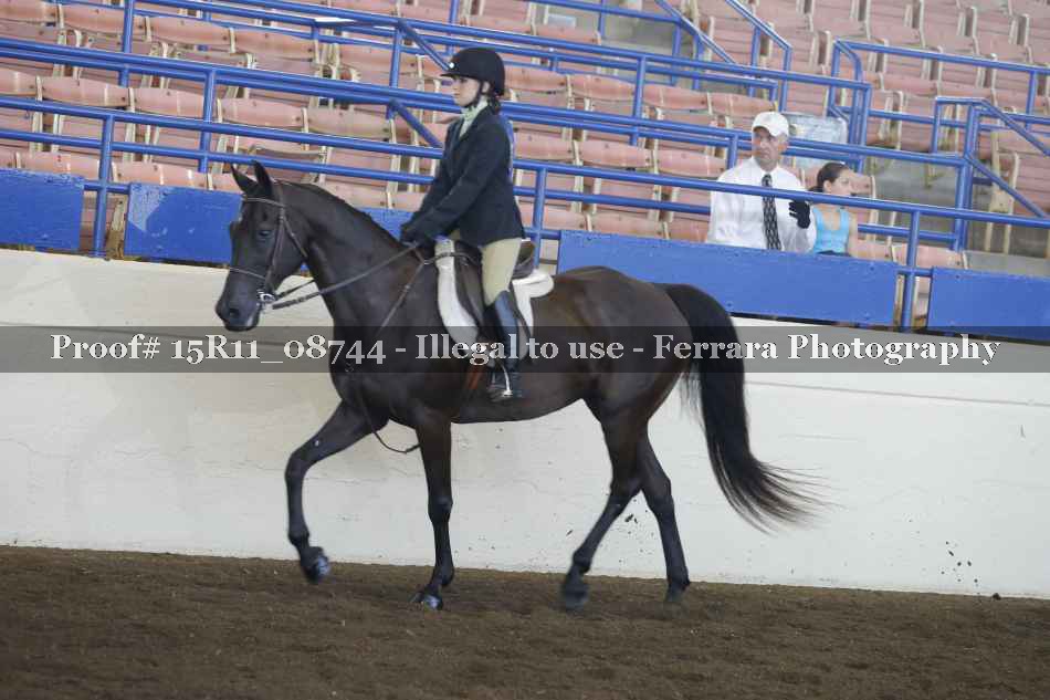 Proof 15R11_08744