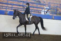 15R11_08744 proof