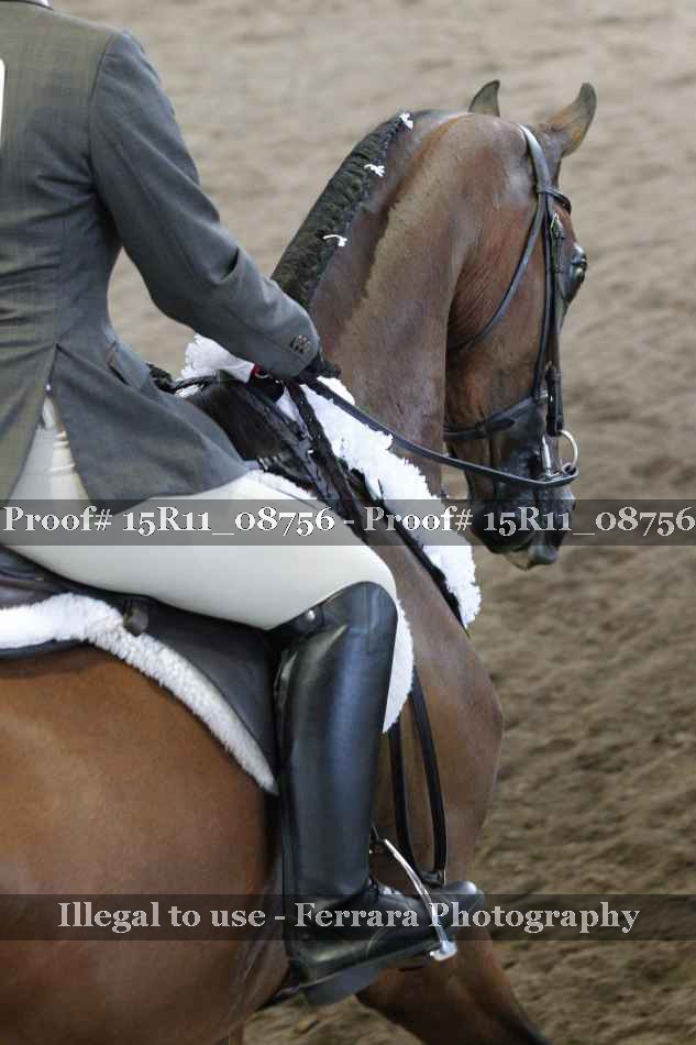 Proof 15R11_08756