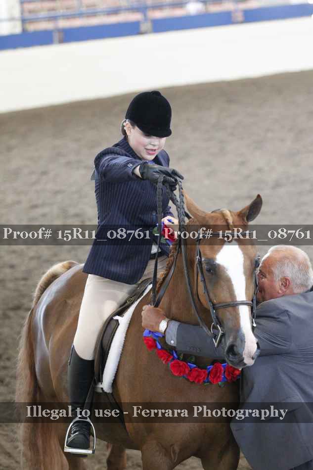 Proof 15R11_08761