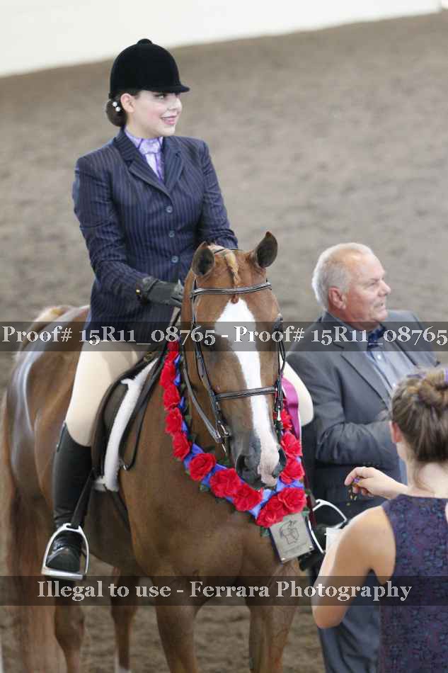 Proof 15R11_08765