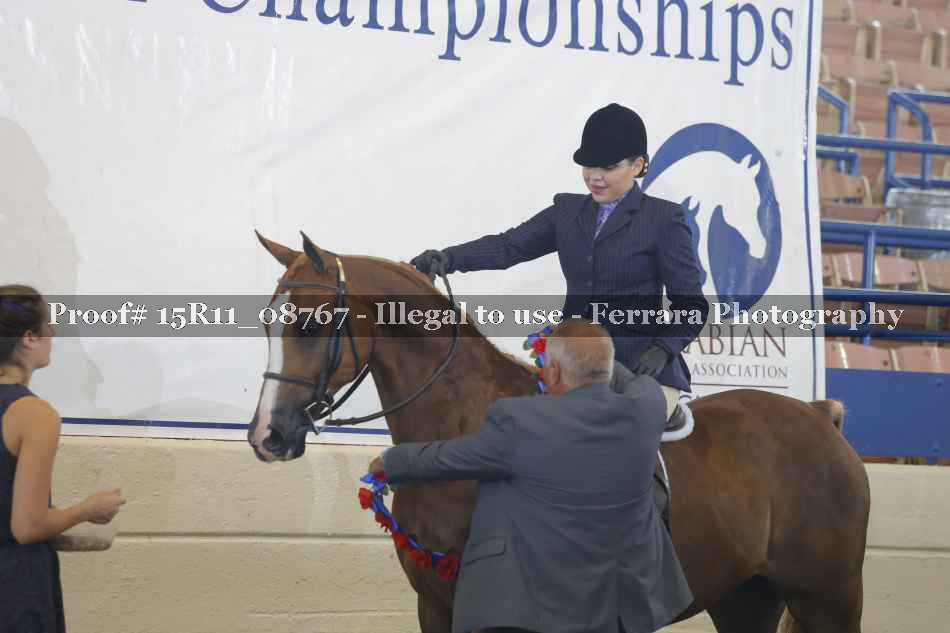 Proof 15R11_08767