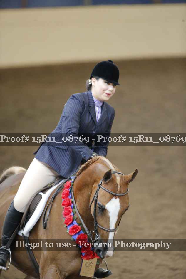 Proof 15R11_08769