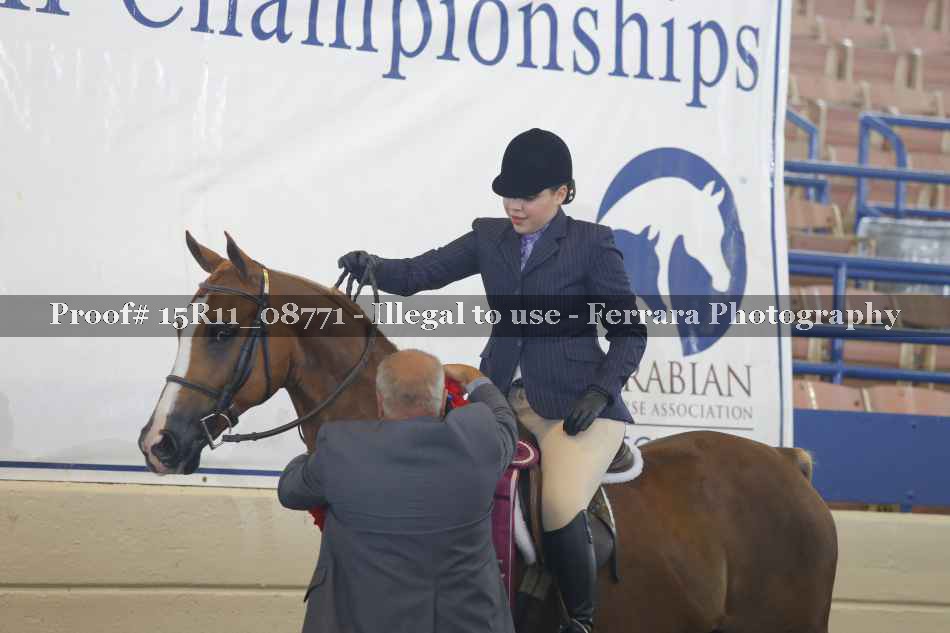 Proof 15R11_08771