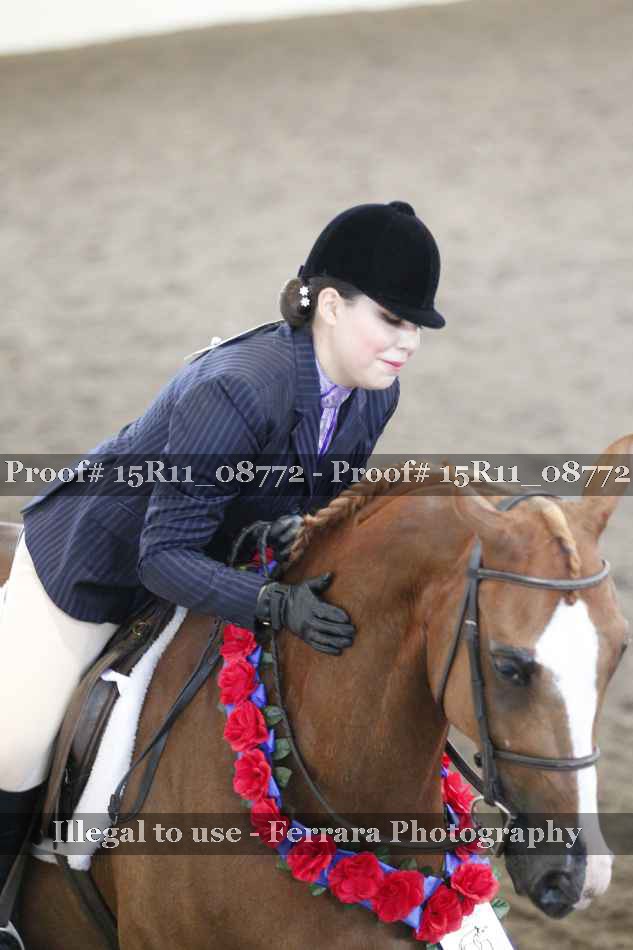 Proof 15R11_08772
