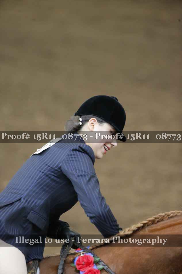 Proof 15R11_08773