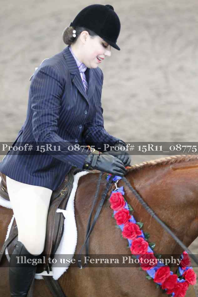 Proof 15R11_08775