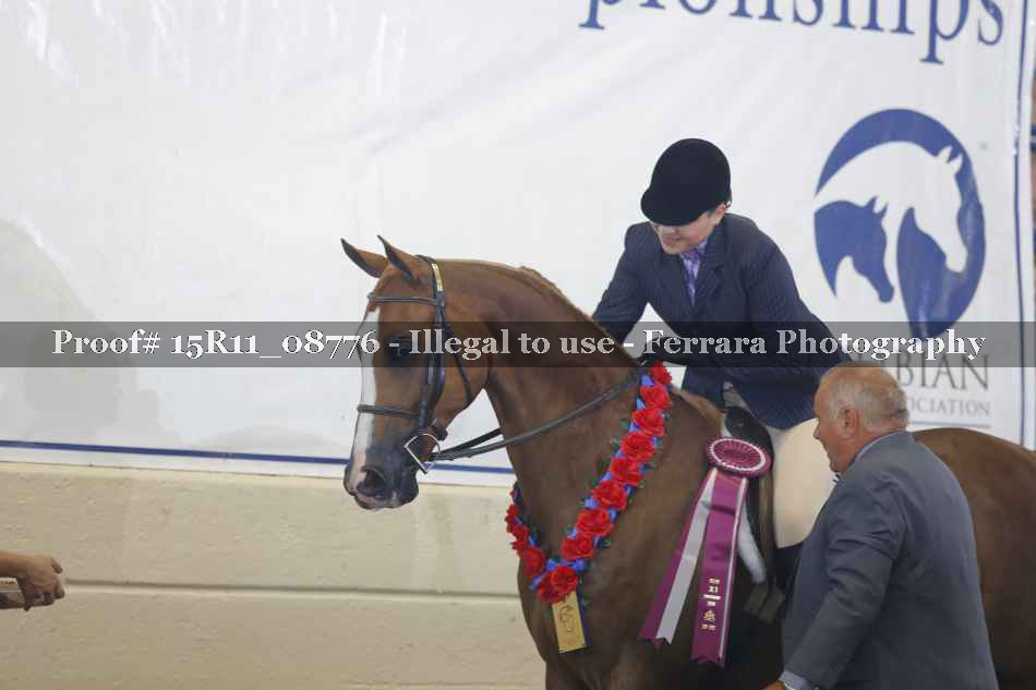 Proof 15R11_08776