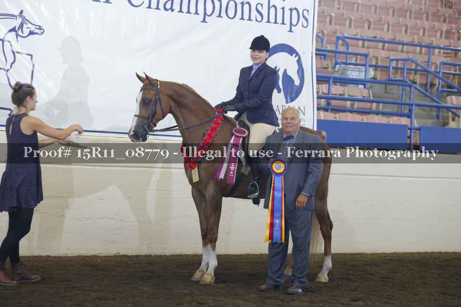 Proof 15R11_08779