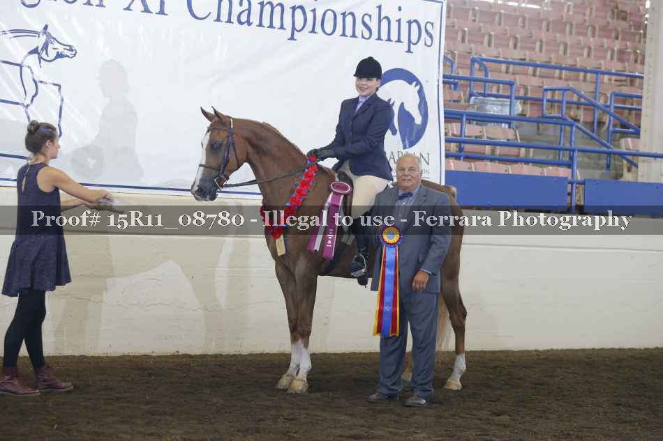 Proof 15R11_08780