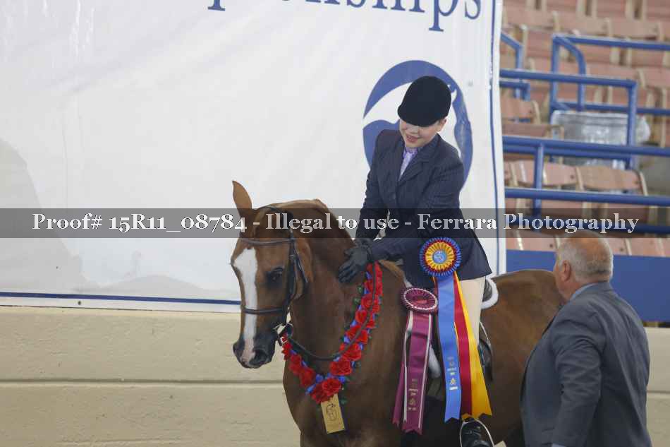 Proof 15R11_08784
