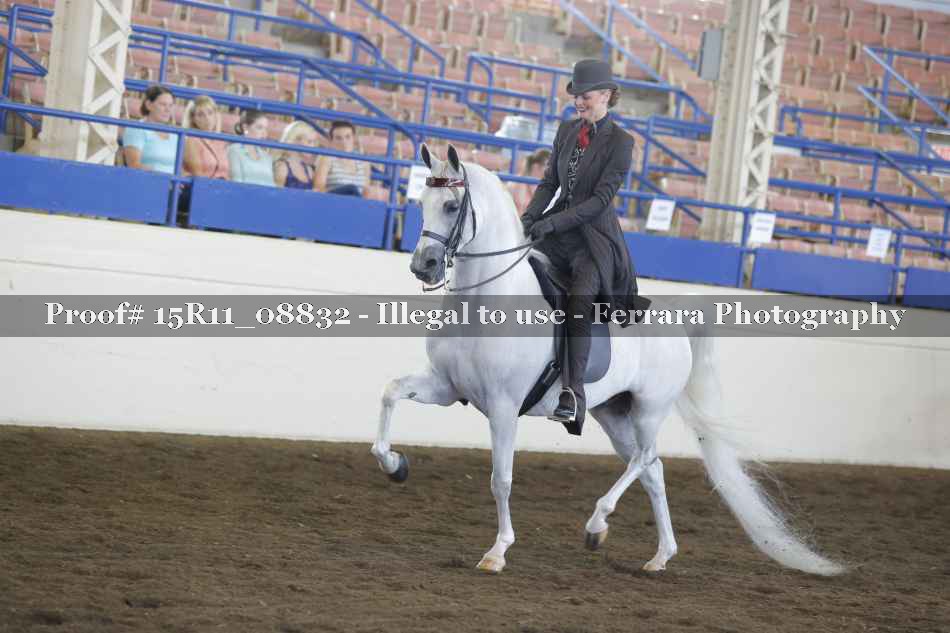 Proof 15R11_08832