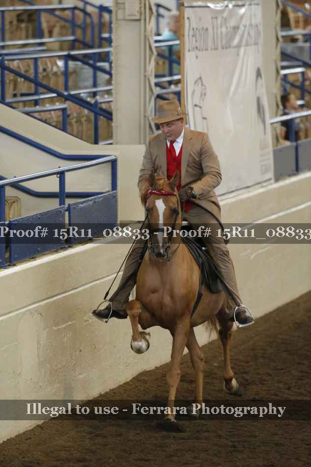 Proof 15R11_08833