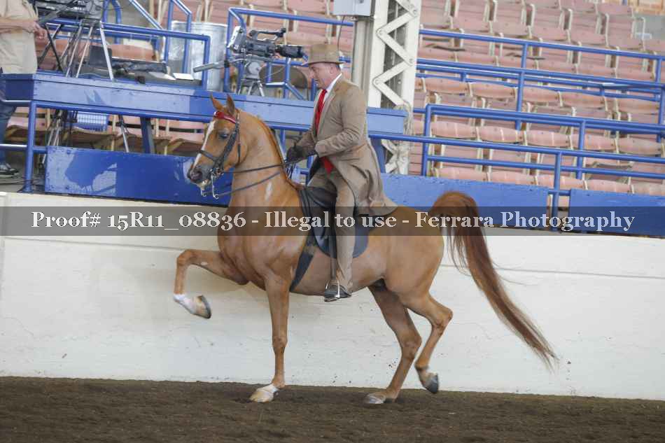 Proof 15R11_08836