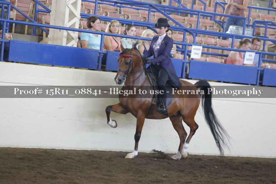 Proof 15R11_08841