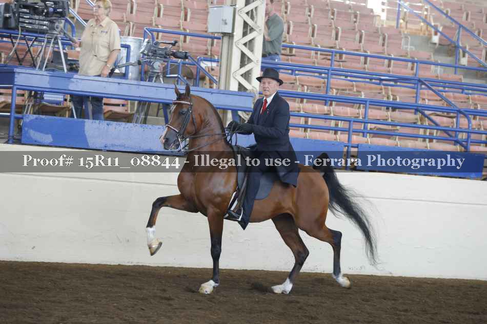 Proof 15R11_08844