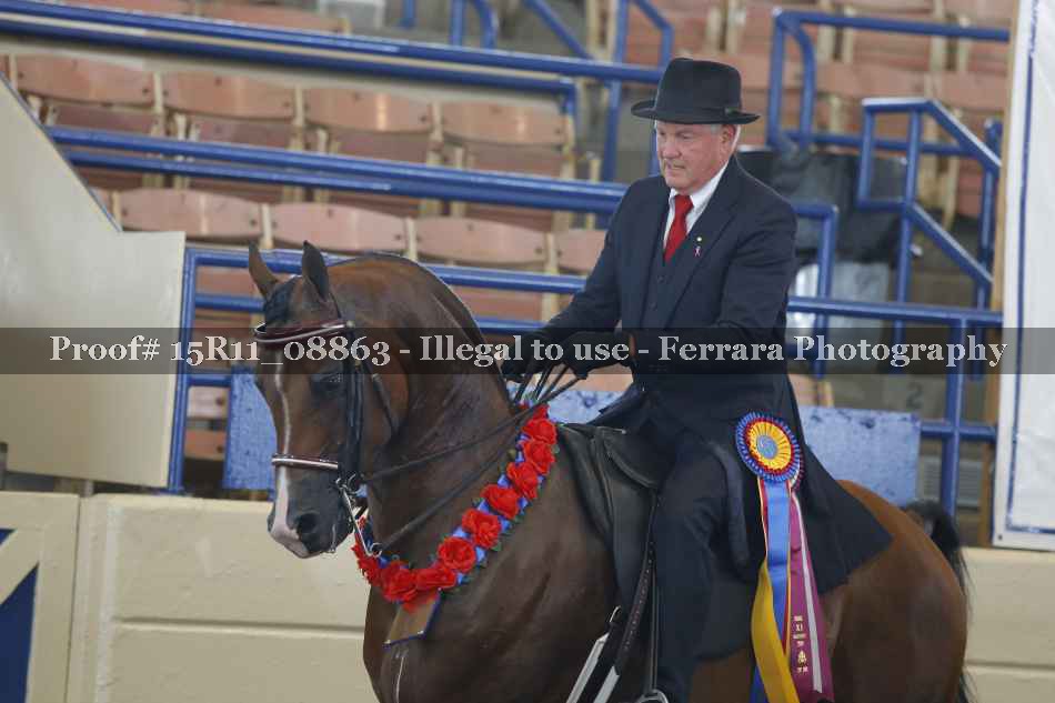 Proof 15R11_08863
