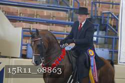 15R11_08863 proof