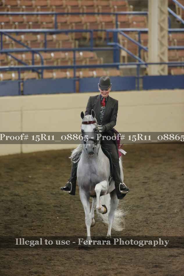 Proof 15R11_08865