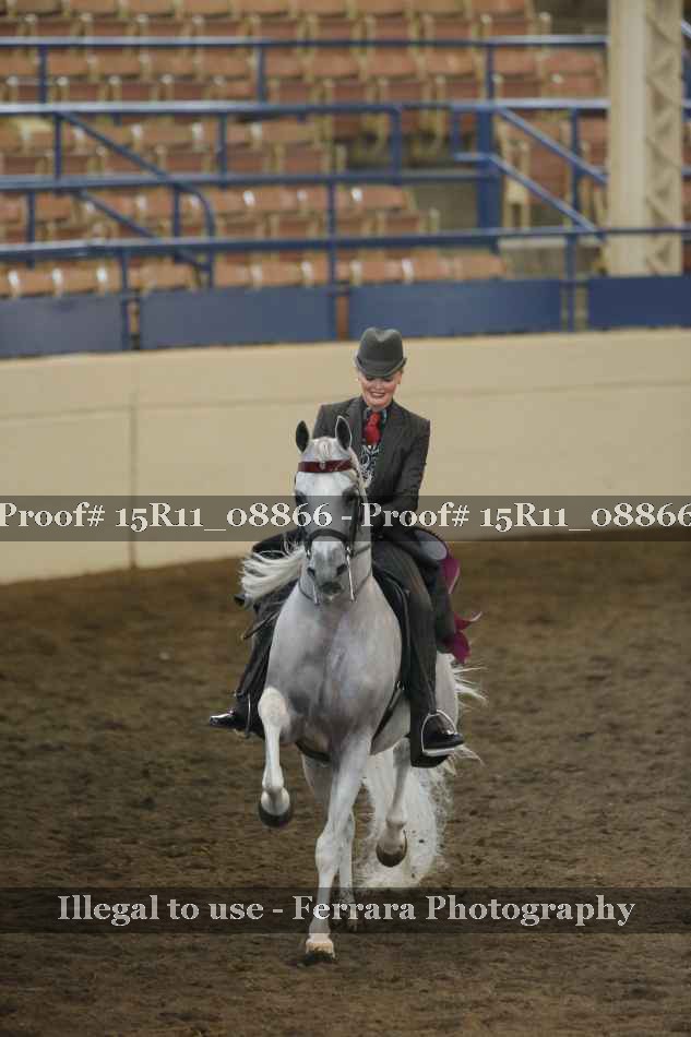 Proof 15R11_08866